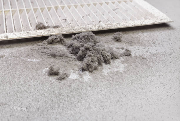 Best Professional Duct Cleaning Services  in Jim Thorpe, PA