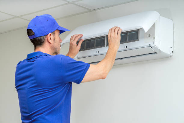 Best Air Duct Mold Removal  in Jim Thorpe, PA